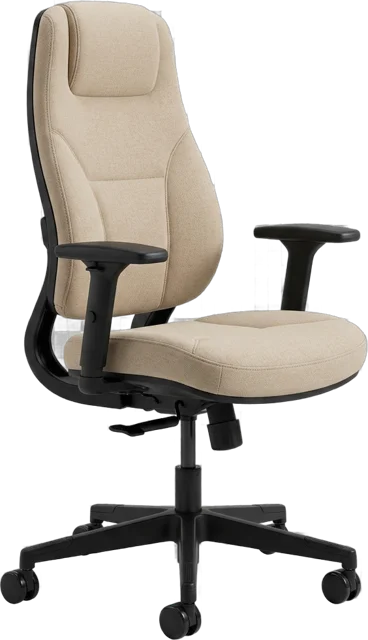 Ergo Desk Chair